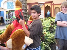 Enlarge photo 19