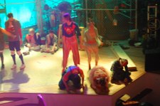 Enlarge photo 425