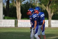 Enlarge photo 51