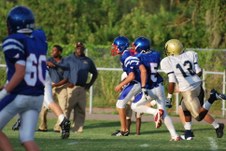 Enlarge photo 59