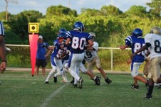 Enlarge photo 166