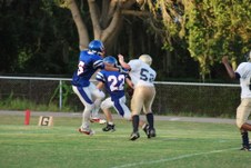Enlarge photo 168