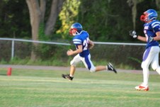 Enlarge photo 169