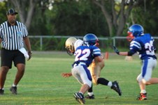 Enlarge photo 253