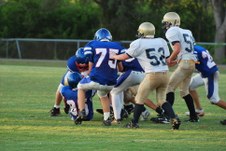 Enlarge photo 257
