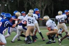 Enlarge photo 335