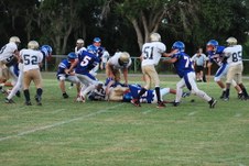 Enlarge photo 337