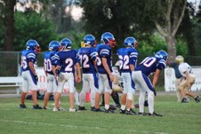 Enlarge photo 351