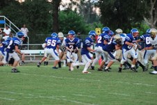 Enlarge photo 362