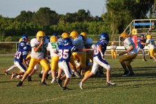 Enlarge photo 15