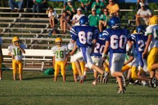 Enlarge photo 54