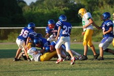 Enlarge photo 55
