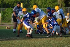 Enlarge photo 80
