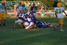 Enlarge photo 115