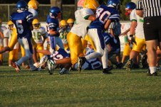 Enlarge photo 134