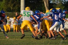 Enlarge photo 139