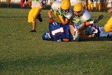 Enlarge photo 145
