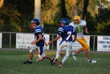 Enlarge photo 208