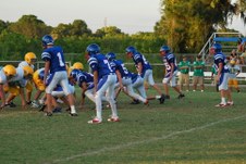 Enlarge photo 217