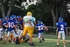 Enlarge photo 233
