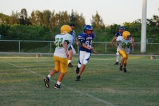Enlarge photo 235