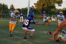 Enlarge photo 238