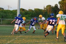Enlarge photo 245