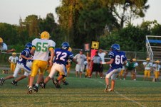 Enlarge photo 246
