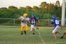 Enlarge photo 250