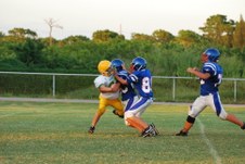 Enlarge photo 251