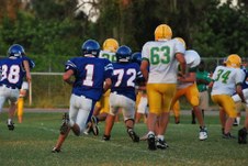 Enlarge photo 253