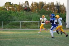Enlarge photo 263