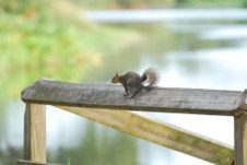 Enlarge photo 18