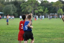 Enlarge photo 132