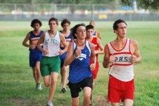 Enlarge photo 151