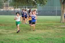 Enlarge photo 156