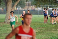 Enlarge photo 158