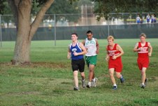 Enlarge photo 237