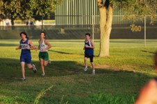 Enlarge photo 345
