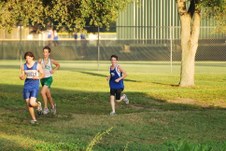 Enlarge photo 346