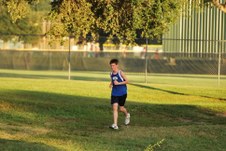 Enlarge photo 394