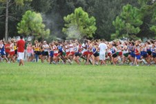 Enlarge photo 38