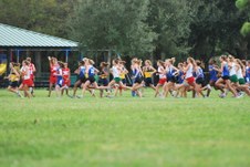 Enlarge photo 42