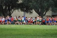 Enlarge photo 59