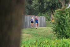 Enlarge photo 88