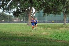 Enlarge photo 95