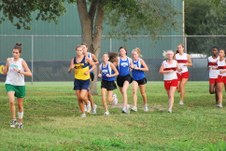 Enlarge photo 122