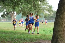 Enlarge photo 144