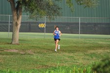 Enlarge photo 439