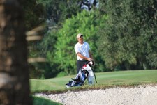 Enlarge photo 196